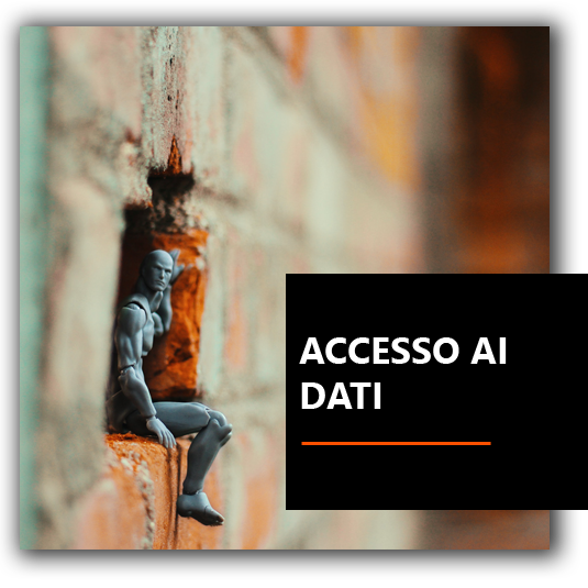 Accesso ai dati - BrioWeb agenzia marketing