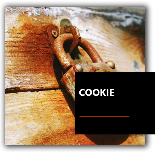 Cookie - BrioWeb agenzia marketing